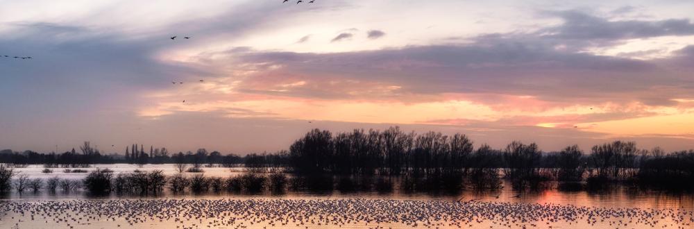 Hochwasser