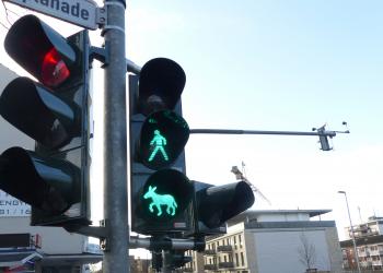 In Wesel ziert ein Esel als Motiv die Fußgänger-Ampeln an der Kreuzung Esplanade/Kreuzstraßenade