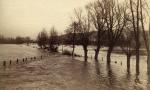 Hochwasser bei Wesel