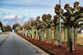 LED-Pollerleuchten in Büderich