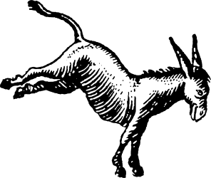 Städtisches Bühnenhaus - Esel